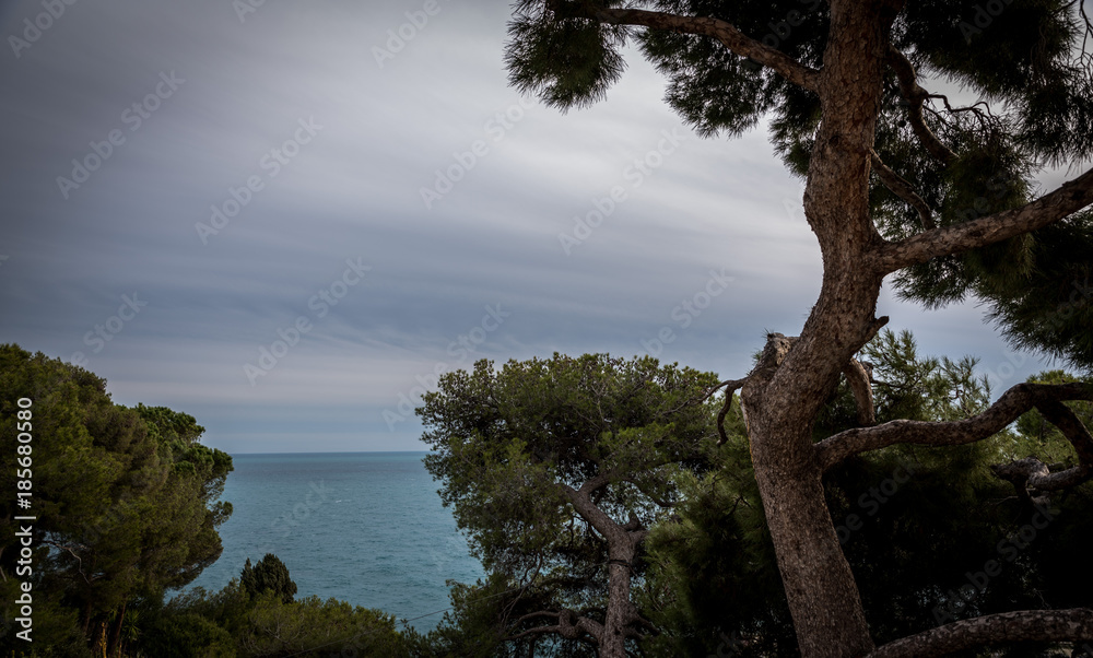 Travel, Landscape, water, Europe, Monaco