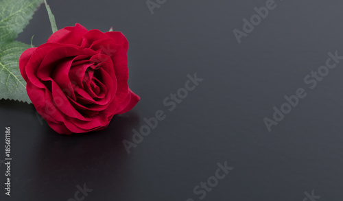 Close up of a single red rose on stone background