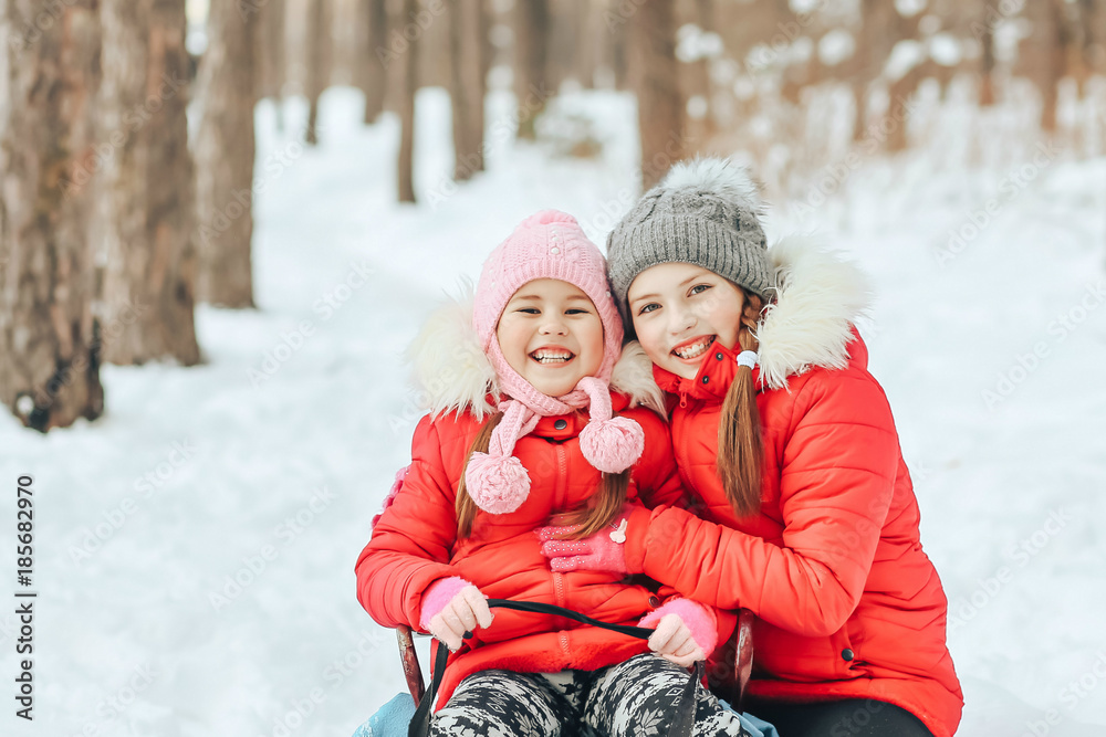 Smiling girls sitting on a sled in the forest in winter