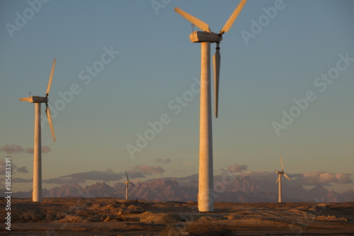 wind power