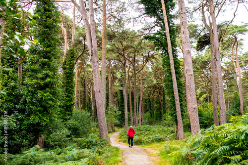 A man walking  around of Glenveagh National Park in Ireland. photo