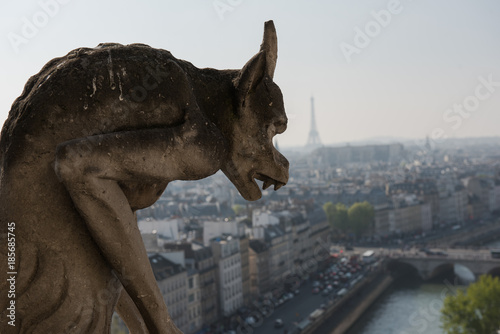 Blick eines Chimärs auf Paris