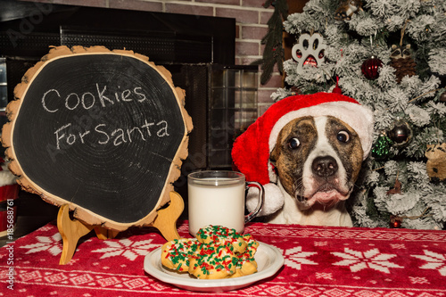 Fototapeta Naklejka Na Ścianę i Meble -  Cookies and Milk for Santa
