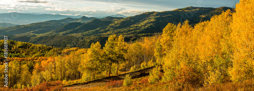 Sunset Golden Valley - A panoramic autumn sunset view of golden aspen grove in a mountain valley, Routt National Forest, Steamboat Springs, Colorado, USA. photo