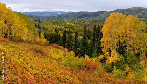 Autumn Mountain Valley - A  panoramic overview of a colorful autumn mountain valley in Routt National Forest, Steamboat Springs, Colorado, USA. photo