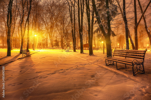 Winter evening in a central park