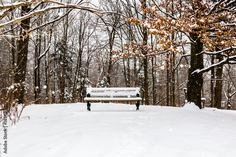Bench in a snowy winter day 