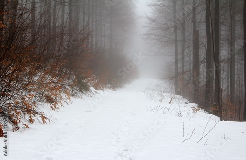 Weg durch die verschneite Landschaft