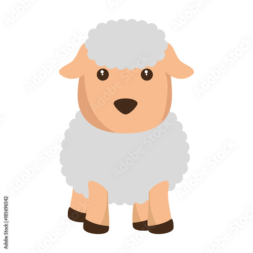 cute sheep character icon vector illustration design