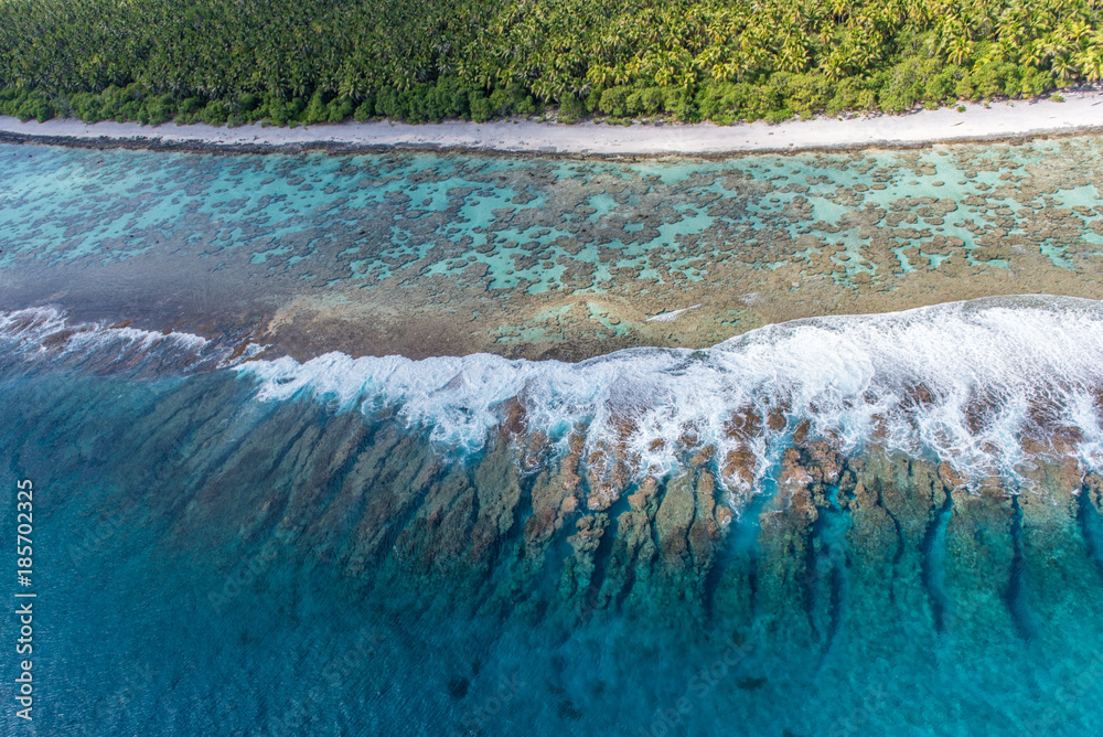 Coral reef of Tetiaroa atoll in French Polynesia