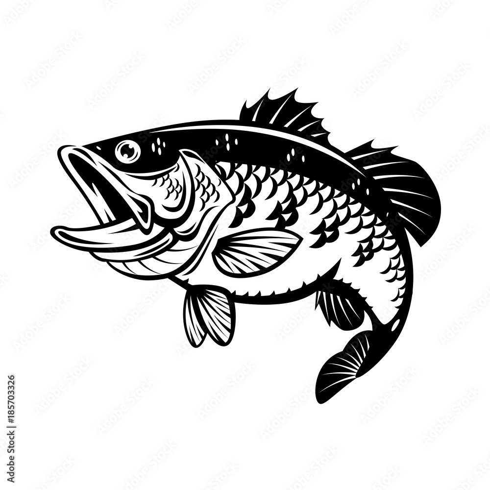 graphic bass fish, vector graphic bass fish, vector