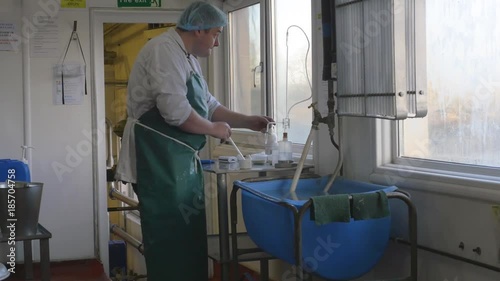 Man in factory tests the potency of a batch with chemicals photo