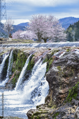 十二ヶ滝の桜