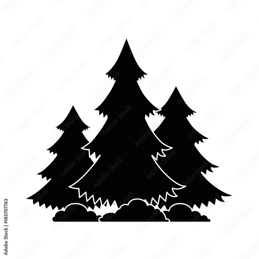Fototapeta premium pines trees plants with grass vector illustration design