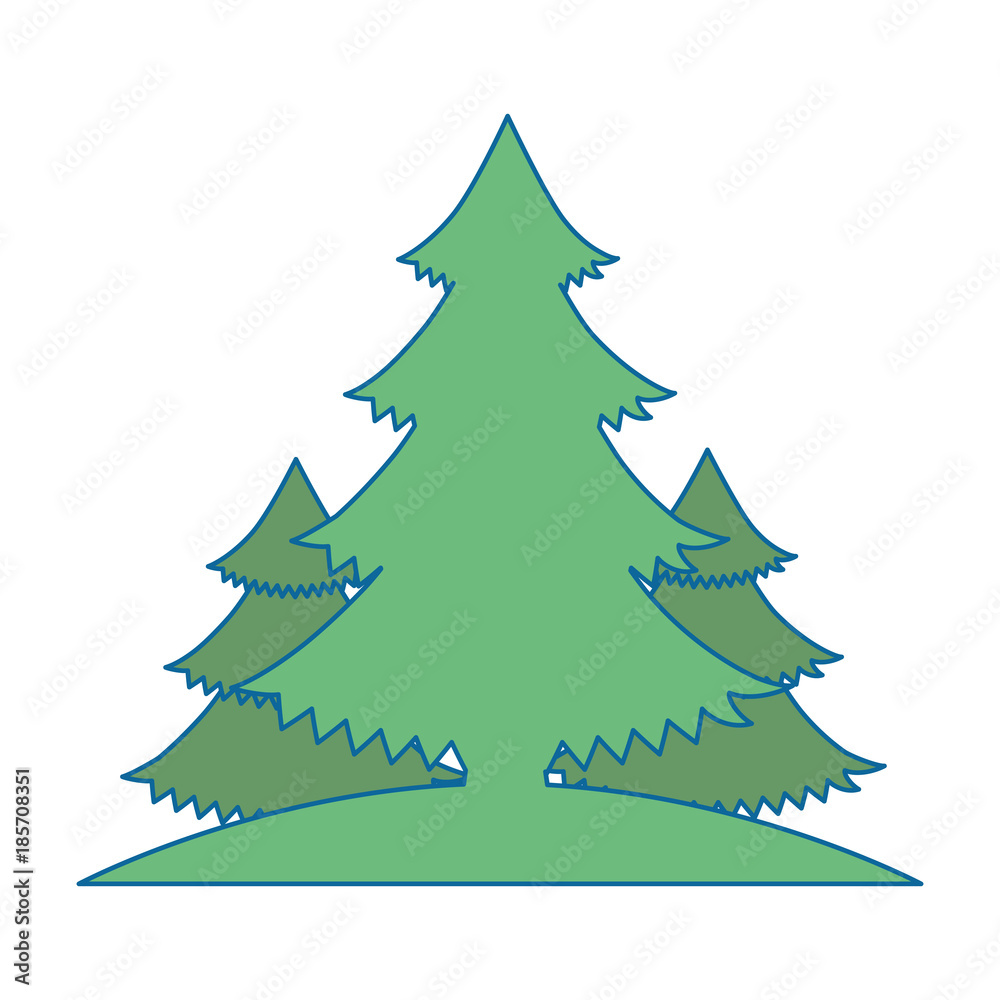 pines trees plants with grass vector illustration design