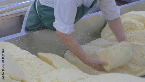 Factory employee sorting out blocks of fresh cheese for the next part of the process photo