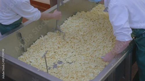 Factory employees preparing fresh cheese for next stage of process photo