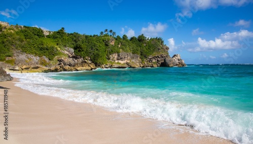 Fototapeta Naklejka Na Ścianę i Meble -  Beautiful Tropical Coast with Clear Water