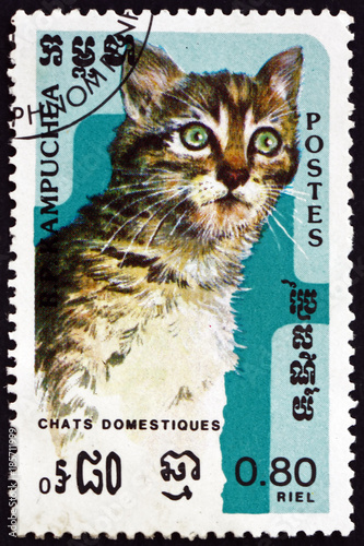 Postage stamp Cambodia 1985 domestic cat