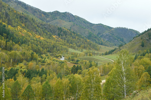 Majestic mountain scenery. Autumn forest