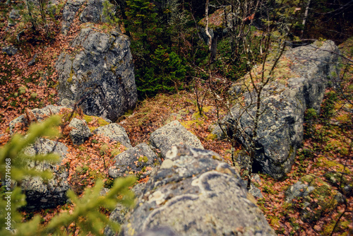 Dark gloomy mystic forest in the mountains with huge rocks in the foreground. Stones, roots of the trees and land are covered with moss. photo