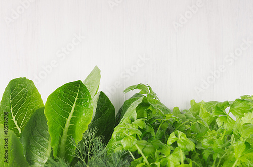 Fresh leaves different greens on white wood board, top view. photo