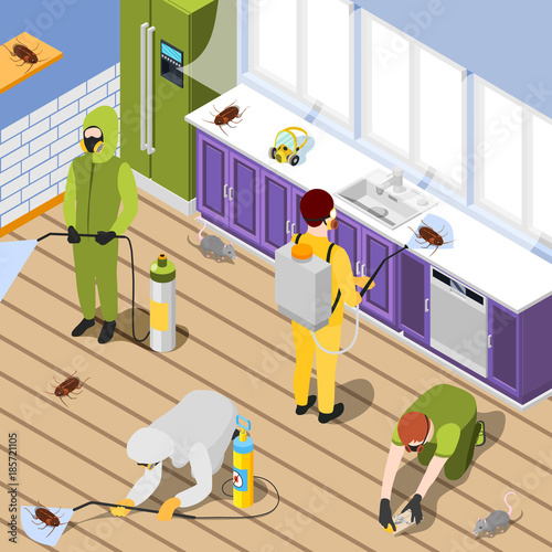 Pest Control Isometric Background