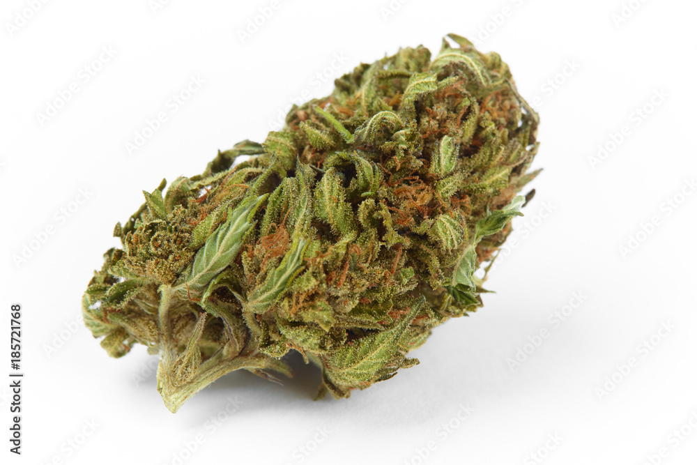 Close up of prescription medical marijuana strain flower Cherry Pie on white background Close up of prescription medical marijuana strain flower Cherry Pie on white background