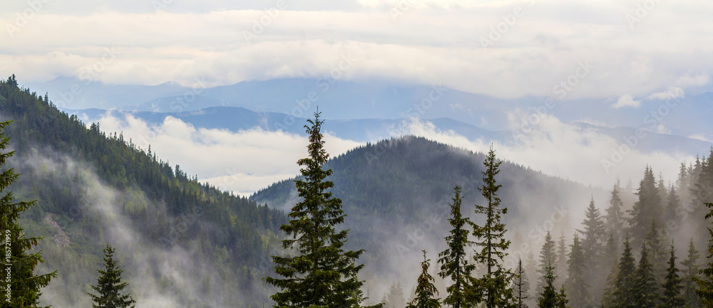 Naklejka premium Panoramiczny widok mgliste Karpaty z niskimi chmurami