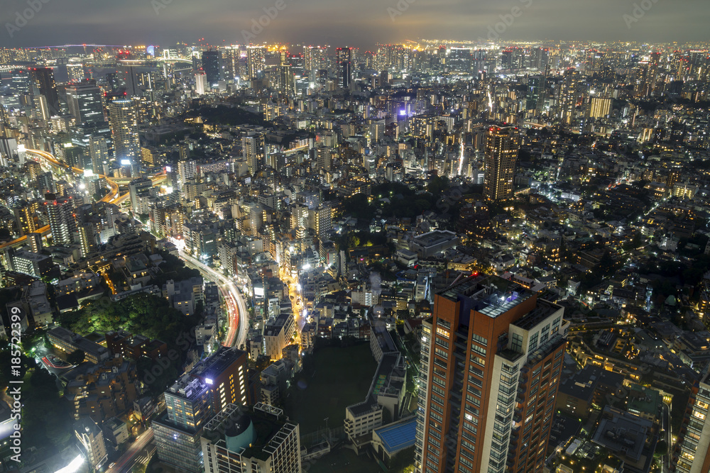 Fototapeta premium Panoramę Tokio w nocy