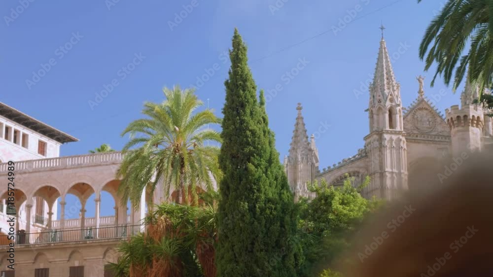 close view of Palma Cathedral in palma de Mallorca close view of Palma Cathedral in palma de Mallorca