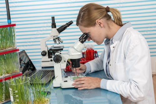 scientist with green plant in modern laboratory. woman study of genetic modified GMO plants in the laboratory