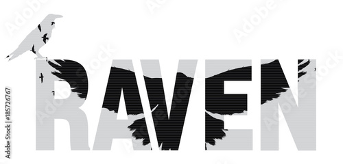 Vector illustration of the raven word with raven  silhouette with the fluttering wings. Double exposure effect.