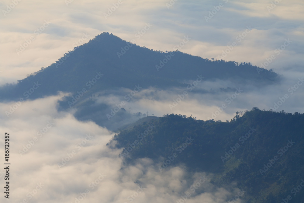 morning mountain fog Thailand