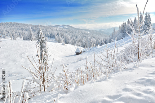 Winter in the Apuseni Mountains - Transylvania 