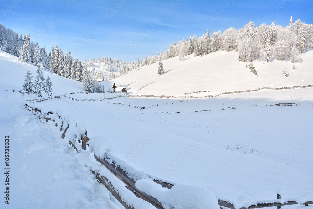 Winter in the Apuseni Mountains - Transylvania
Winter in the Apuseni Mountains - Transylvania
