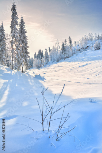 Winter in the Apuseni Mountains - Transylvania 