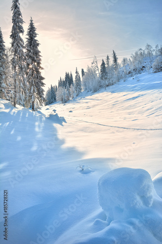 Winter in the Apuseni Mountains - Transylvania   © Moian Adrian