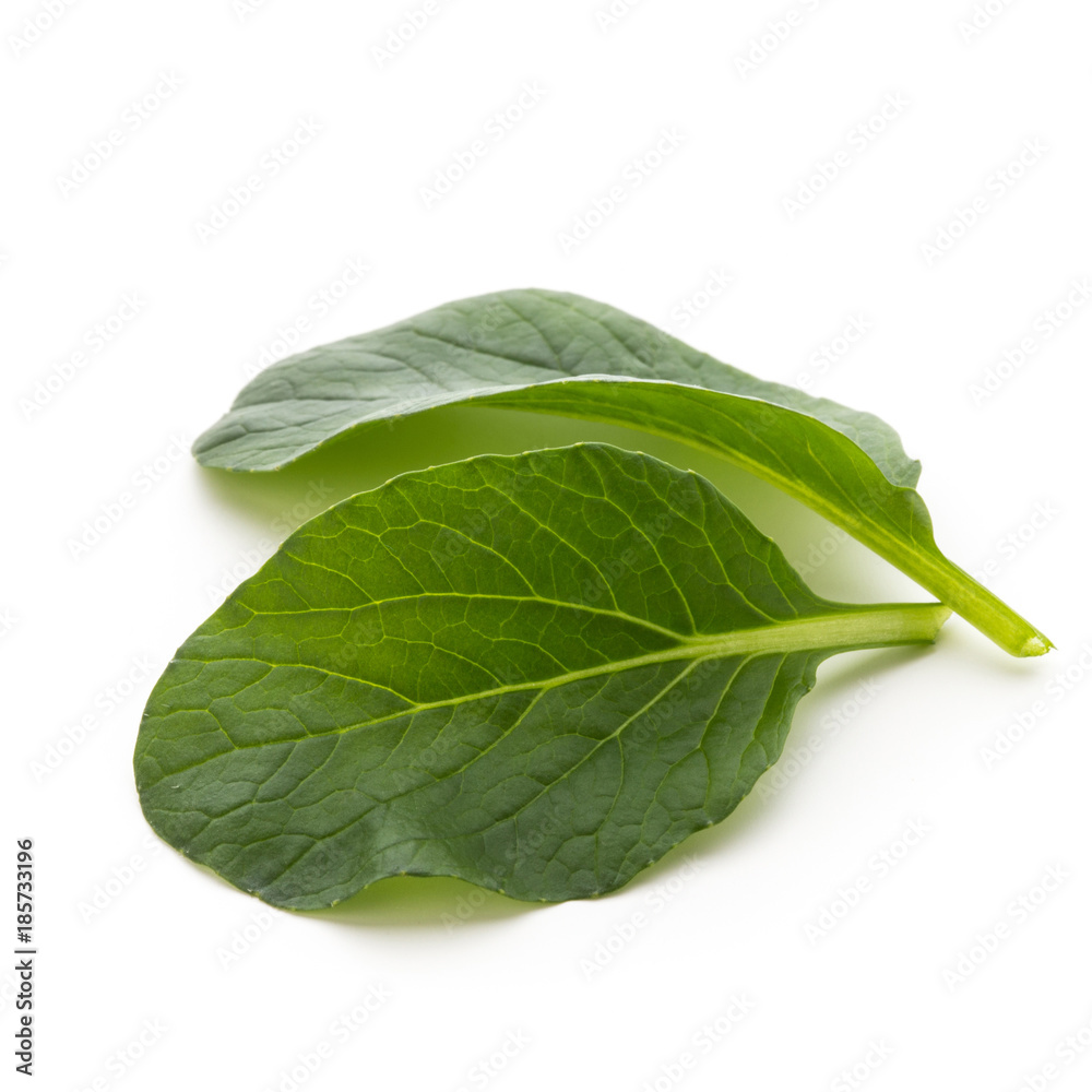 Spinach leaves close up isolated on white. Spinach leaves close up isolated on white.