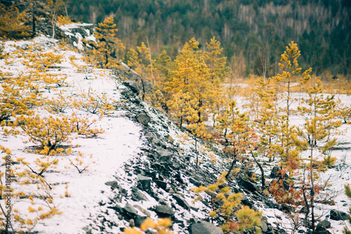 morning shooting of the rocky slope of Mount Syvula Gambler with autumn birches and coniferous forest on the background. Placer stones on a steep rocky slope survive birch water photo