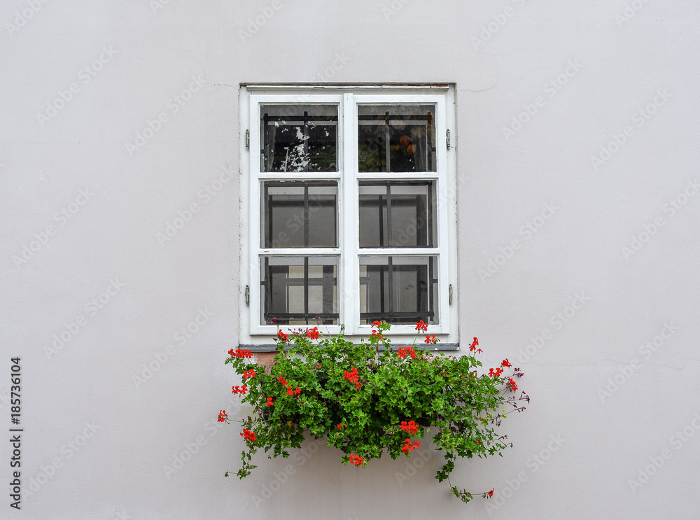 Beautiful old window frame with flower box and light grey wall. Geranium or 	
cranesbill in window box. Rural window frame.