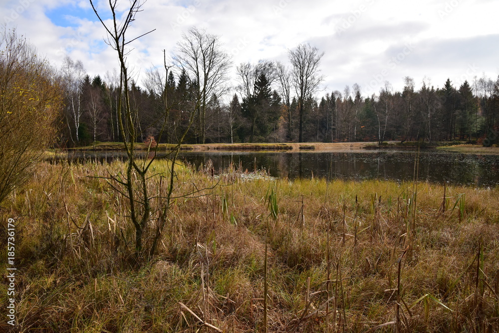 Vlèí lake Vlèí lake