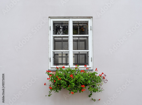 Photos Beautiful old window frame with flower box and light grey wall