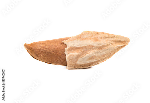 Uzbek almonds in shell