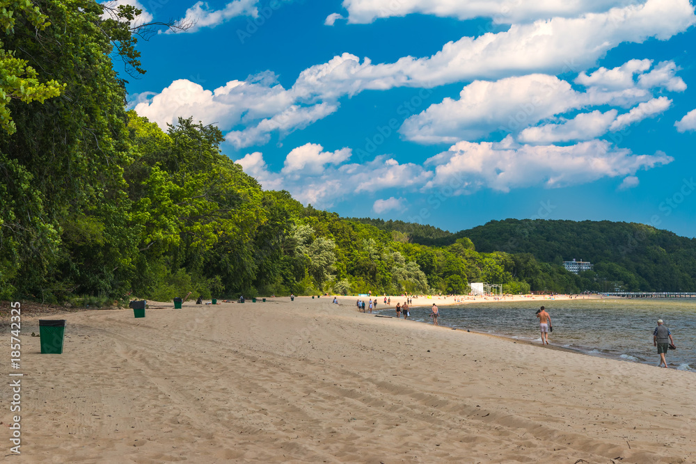 Sunny Beach with sand and trees