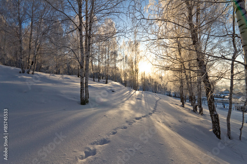 Winter landscape in Russia © kot1970
