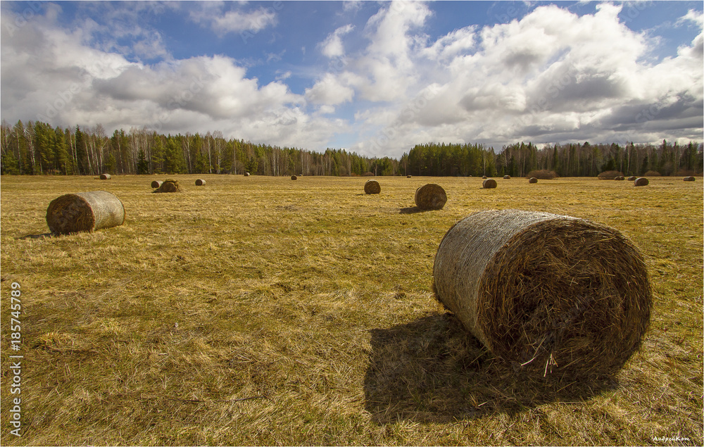 Rural landscape (Russia, haystacks)