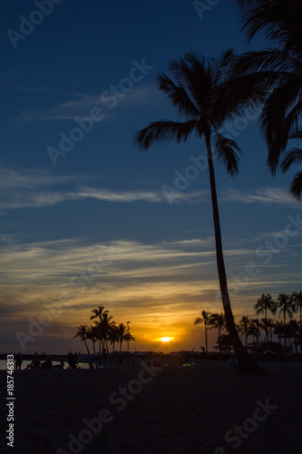 Tropical Sunset, Waikiki Beach, Honolulu, Hawaii with silhouette palm tress, sea and sand