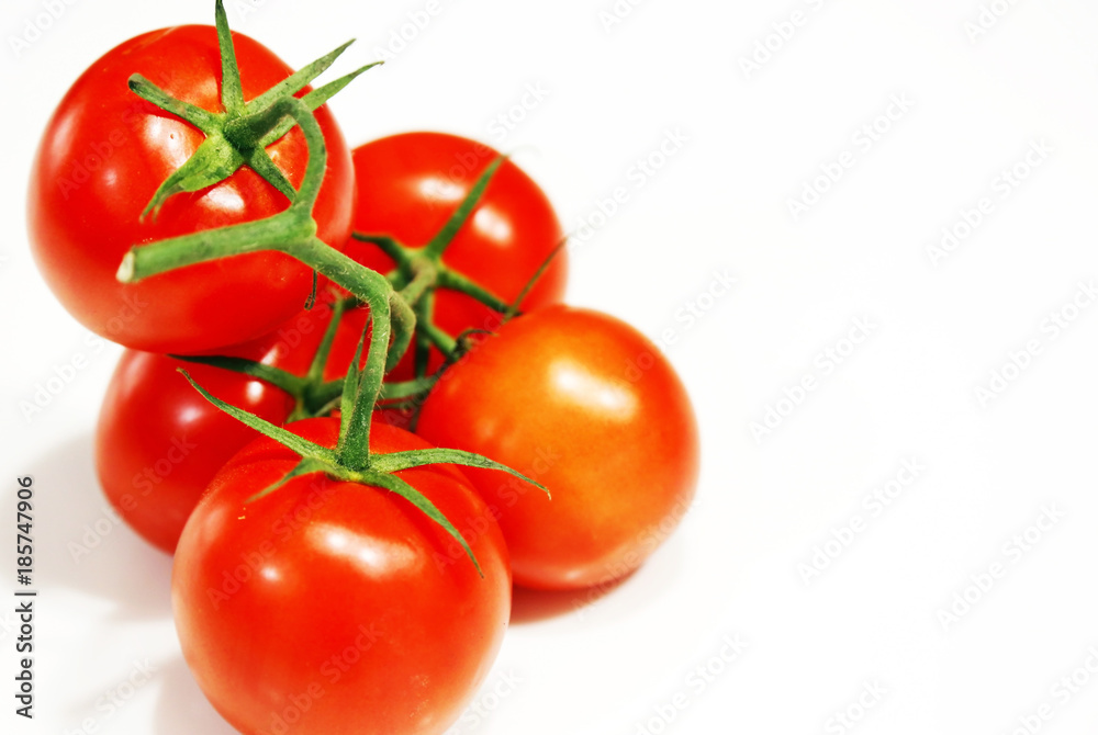 still life of fresh red tomatoes with green stalk isolated on white background still life of fresh red tomatoes with green stalk isolated on white background
