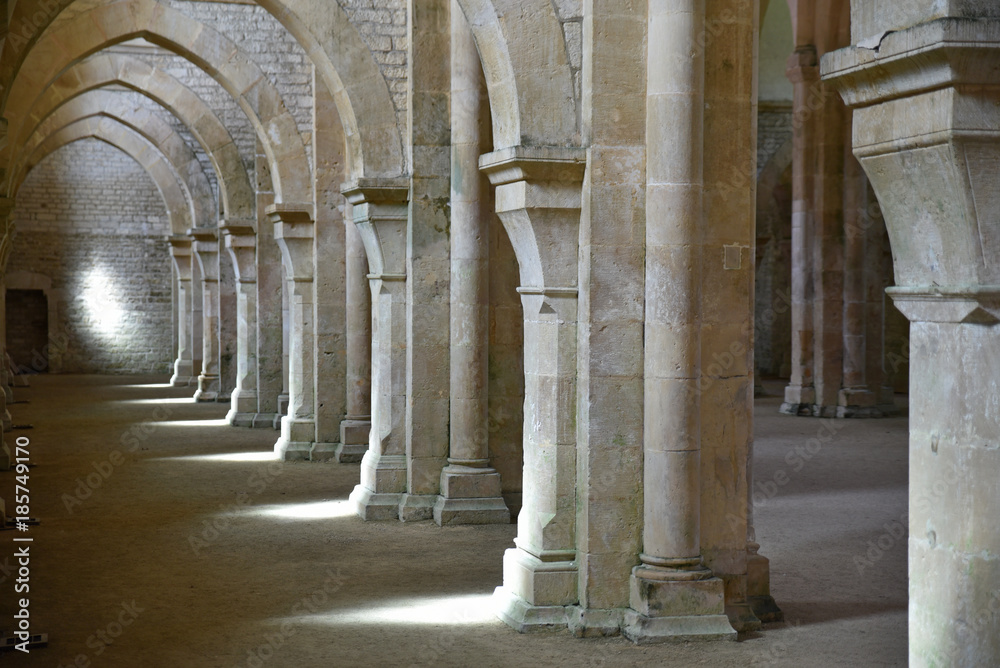 Nef de l'abbaye royale de Fontenay en Bourgogne, France